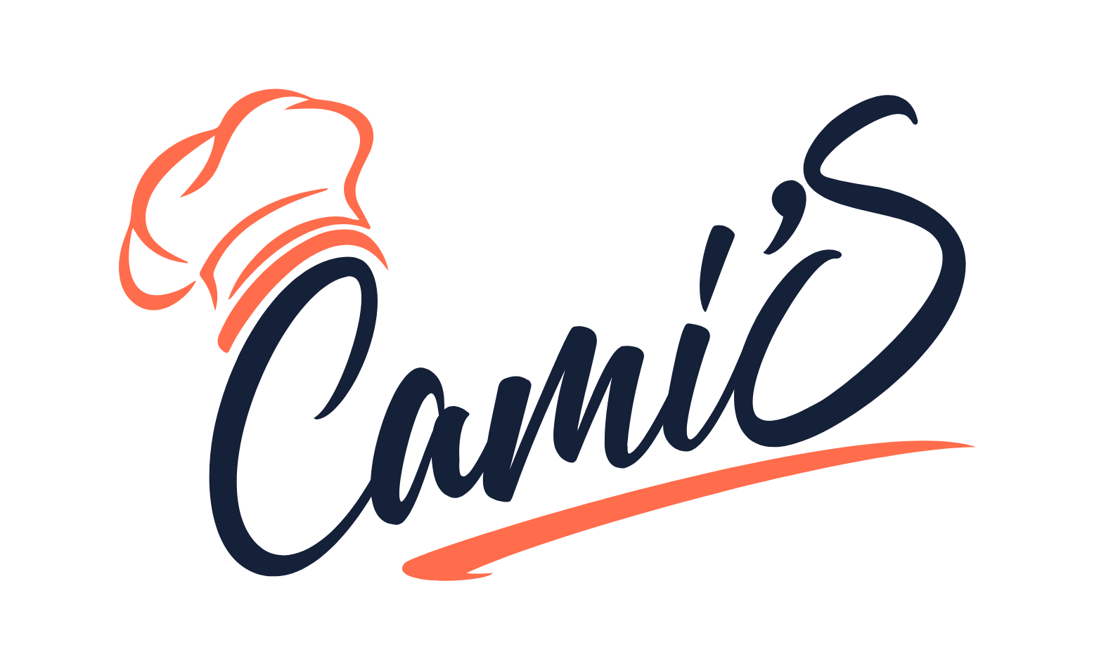 CamiS C.A.